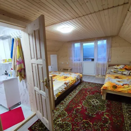 гостинний двір матійчуків новий Holiday home *