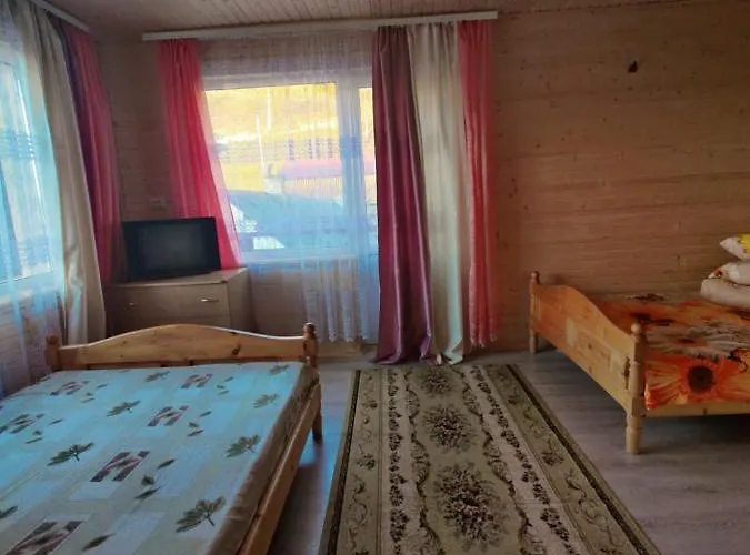 гостинний двір матійчуків новий 度假居 *